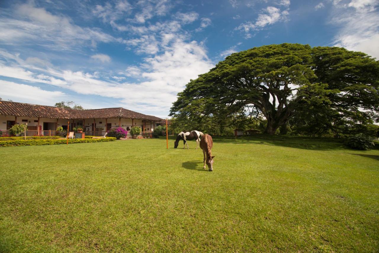 Hacienda El Saman Villa Quimbaya Exterior photo