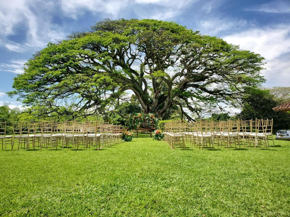 Hacienda El Saman Villa Quimbaya Exterior photo